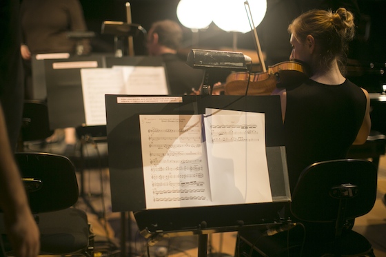 FadingSymphony5_ © Copyright Shirley Cai 2015